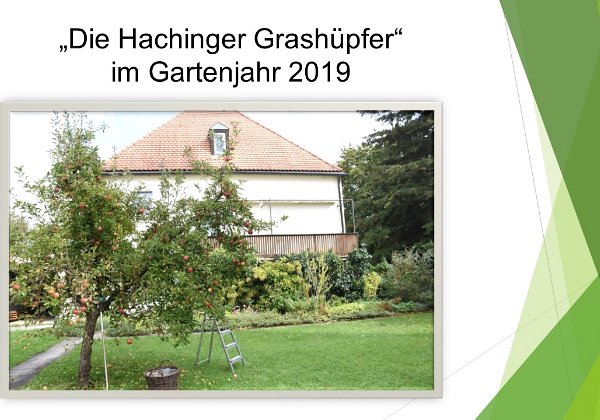 200204_MV_Teil2_Rückblick Grashüpfer