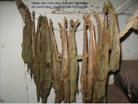 90 Jahre Gartenbauverein 045