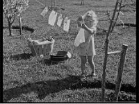 90 Jahre Gartenbauverein 054