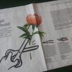 Bild SZ: Test Gartenscheren
