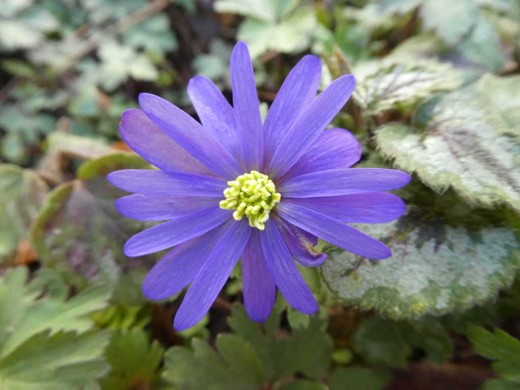 Vielfalt April_2018-04_0001