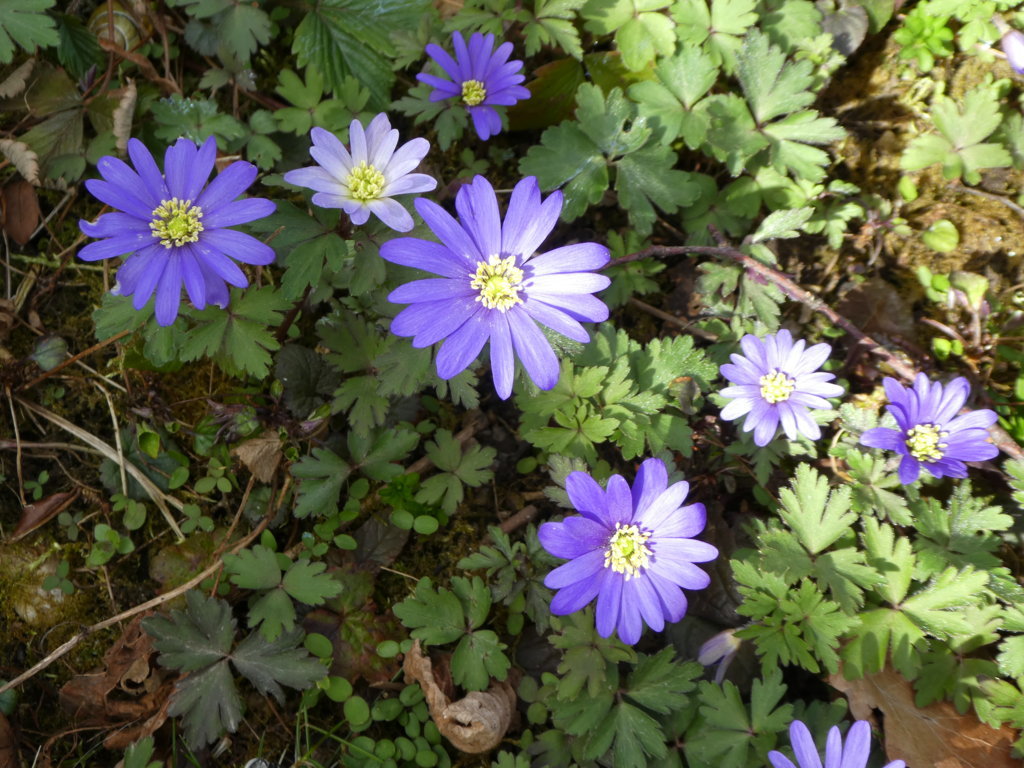 Vielfalt April_2018-04_0005