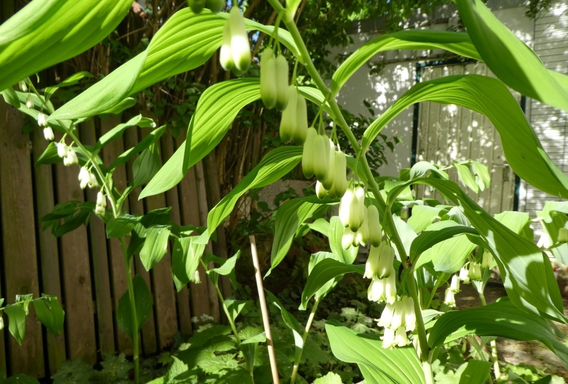 Vielfalt April_2018-04_0008