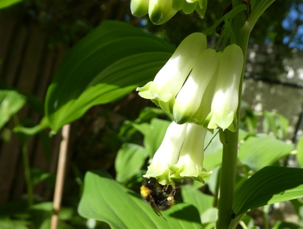 Vielfalt April_2018-04_0009