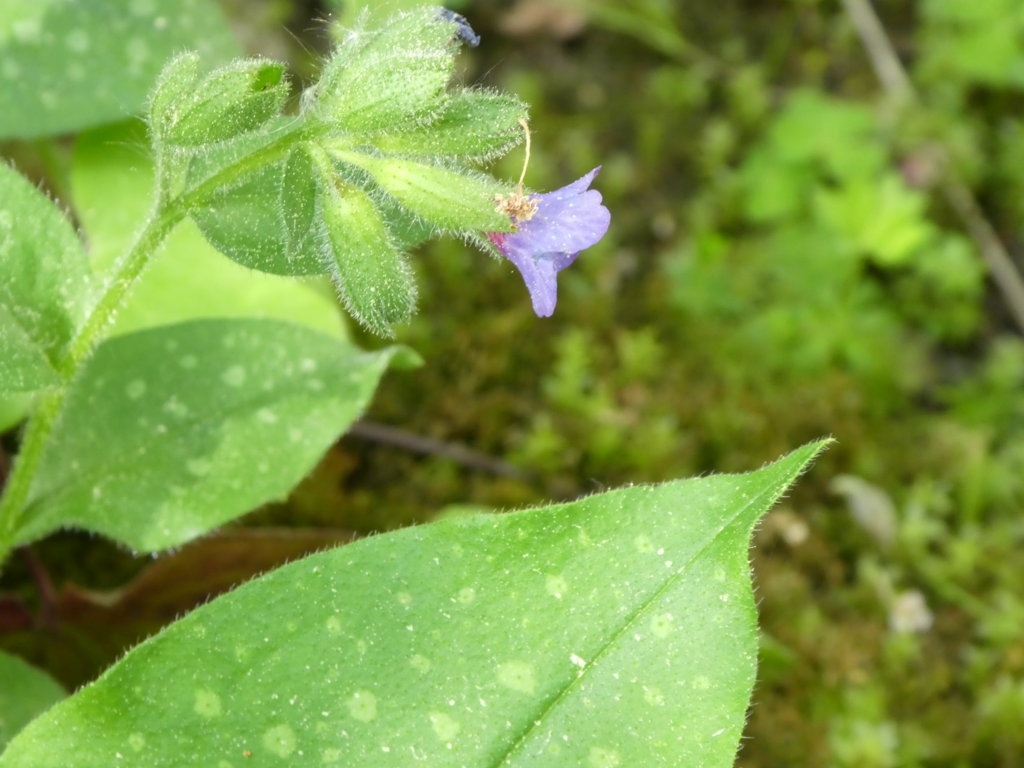 Vielfalt April_2018-04_0011