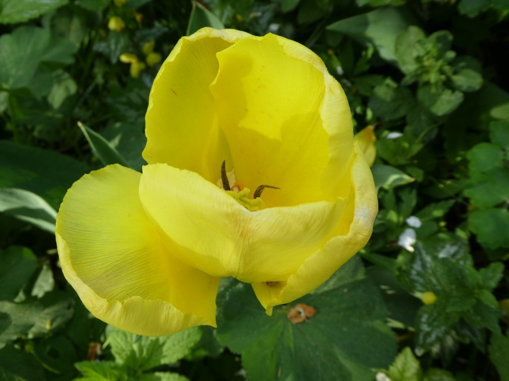 Vielfalt April_2018-04_0014