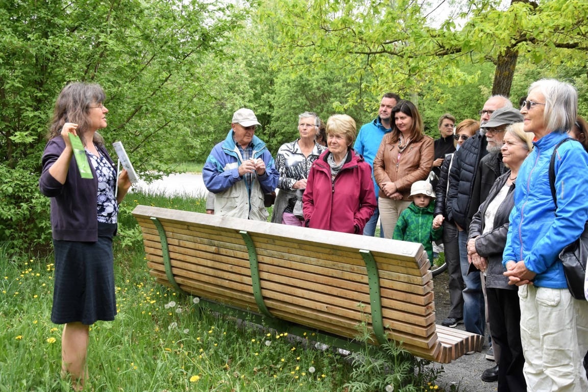 Kräuterwanderung (12)_180501
