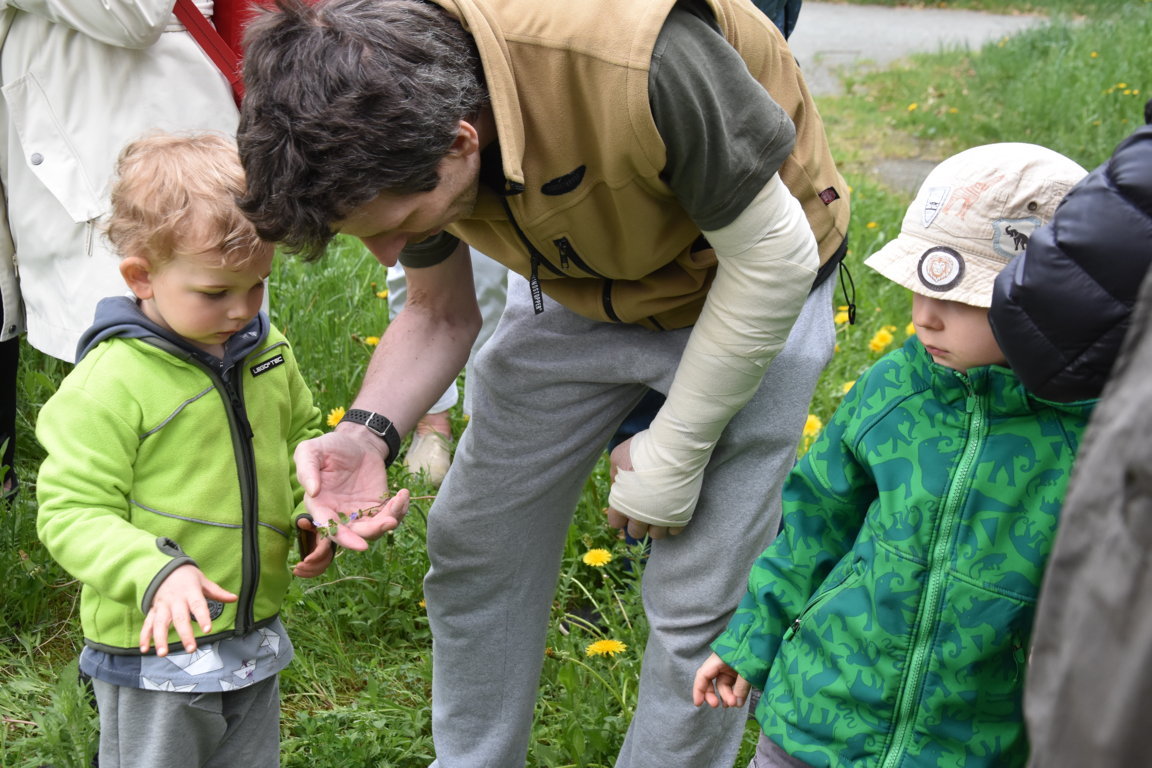 Kräuterwanderung (19)_180501