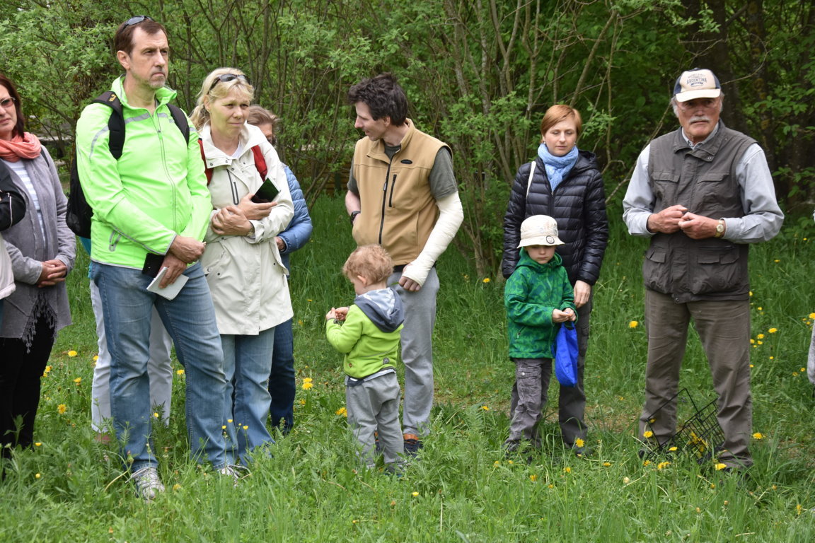Kräuterwanderung (22)_180501