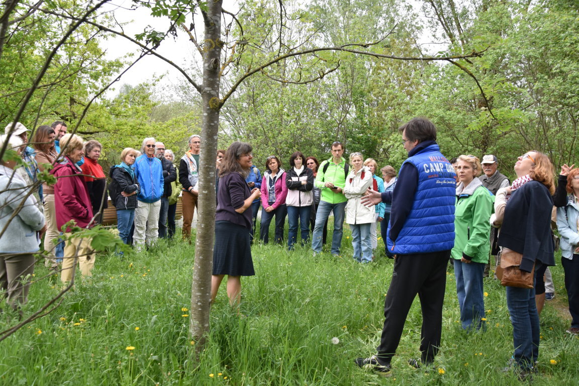 Kräuterwanderung (26)_180501
