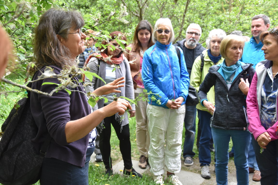Kräuterwanderung (32)_180501