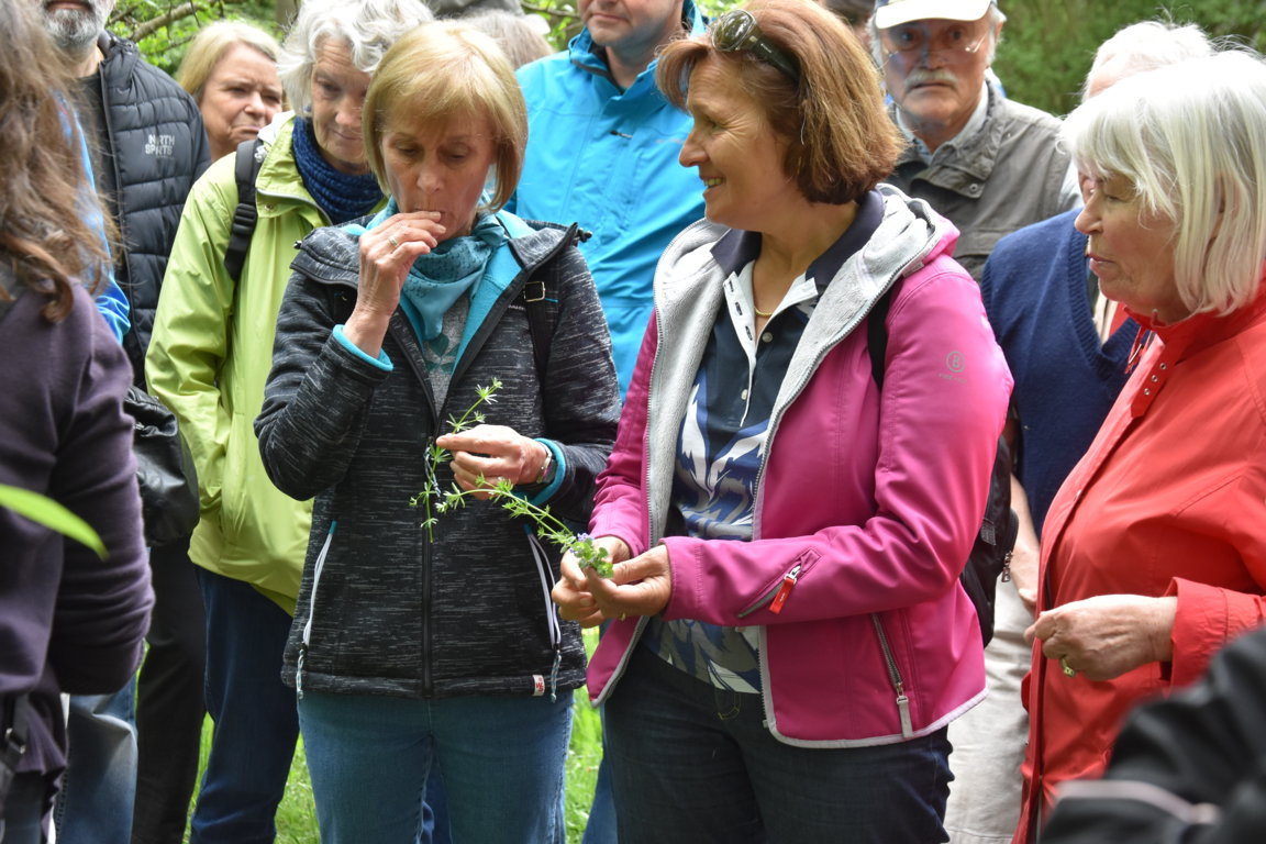 Kräuterwanderung (33)_180501
