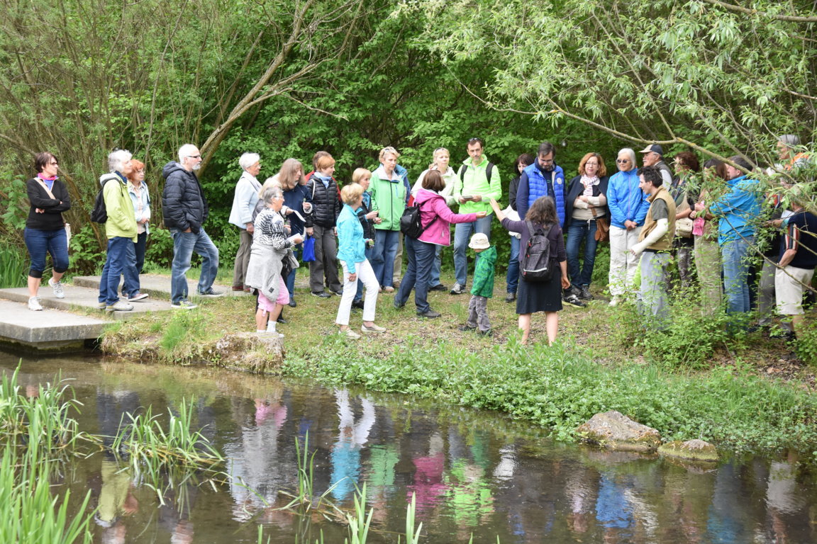 Kräuterwanderung (38)_180501