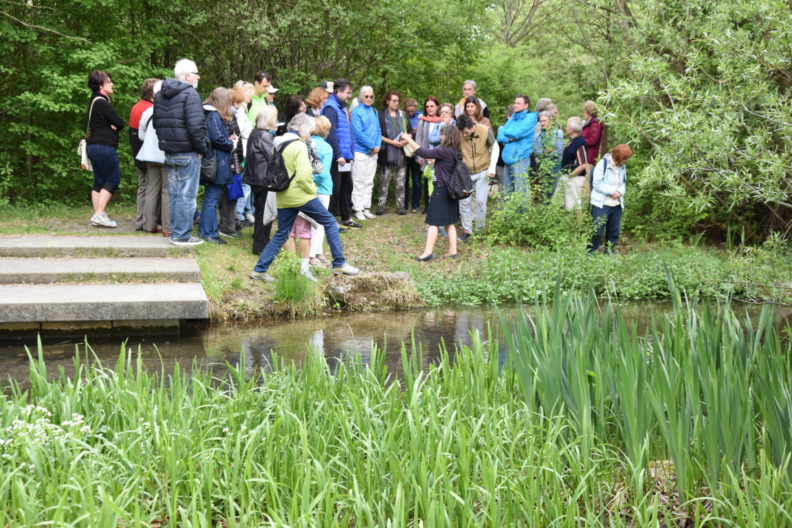 Kräuterwanderung (41)_180501