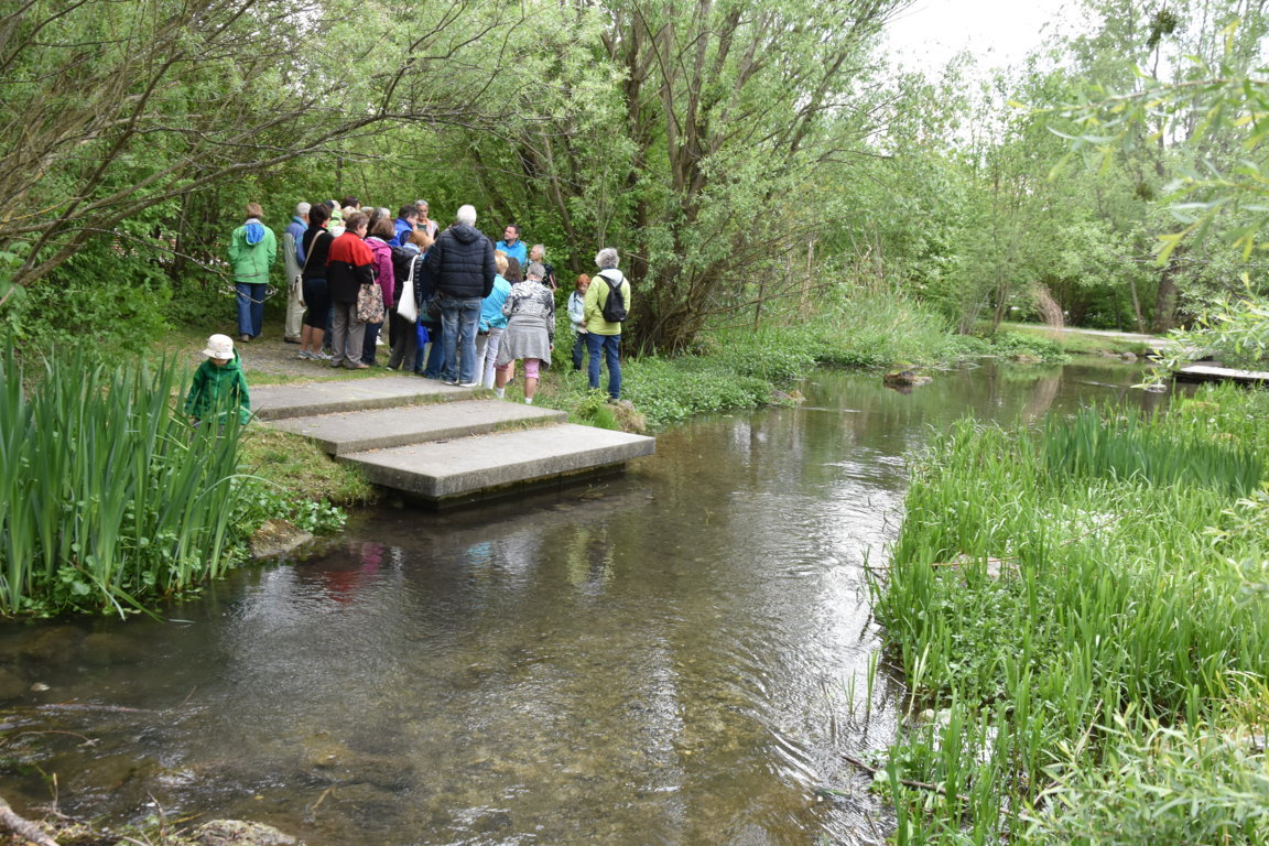 Kräuterwanderung (42)_180501