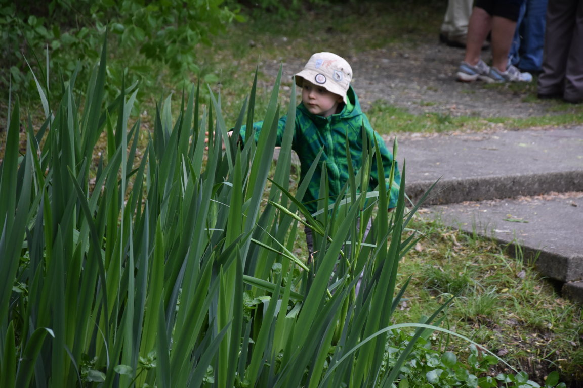 Kräuterwanderung (43)_180501