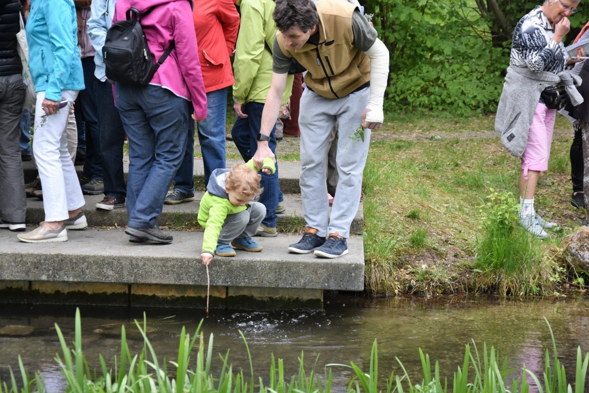 Kräuterwanderung (51)_180501