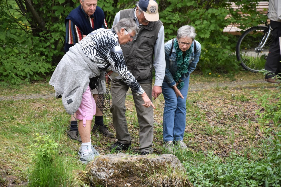 Kräuterwanderung (52)_180501