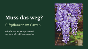 Bild zum Vortrag "Giftpflanzen im Hausgarten"