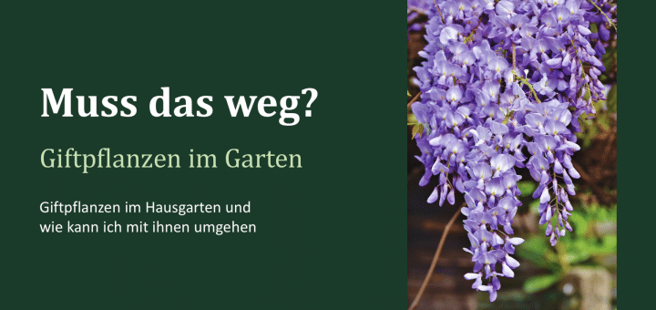 Bild zum Vortrag "Giftpflanzen im Hausgarten"